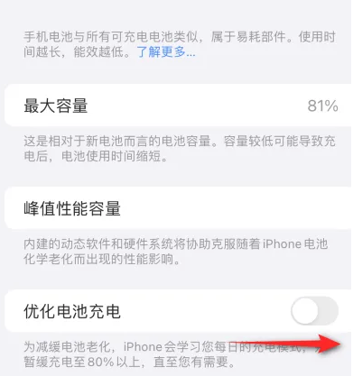 白玉苹果15维修分享iPhone15充电到80%就充不进电了怎么办 