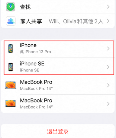 白玉苹白玉果维修网点分享iPhone如何查询序列号