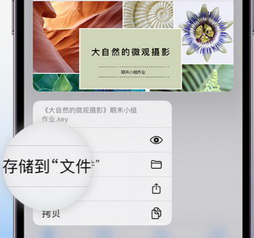 白玉apple维修中心分享iPhone文件应用中存储和找到下载文件