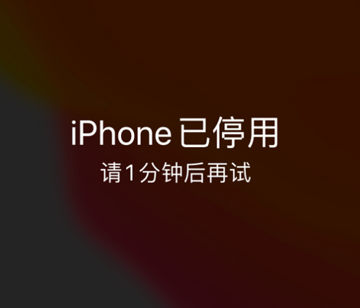 白玉苹果手机维修分享:iPhone 显示“不可用”或“已停用”怎么办？还能保留数据吗？ 