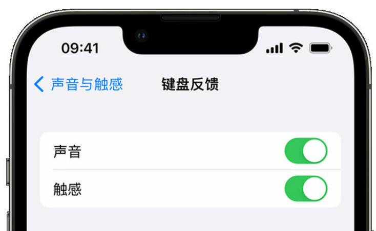 白玉苹果手机维修分享iPhone 14触感键盘使用方法 