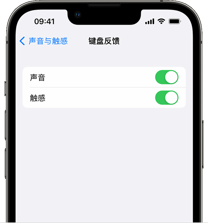 白玉苹果14维修店分享如何在 iPhone 14 机型中使用触感键盘 