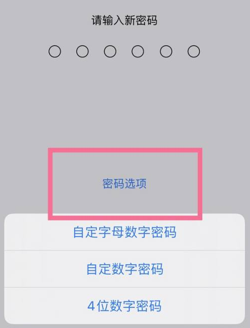 白玉苹果14维修分享iPhone 14plus设置密码的方法 