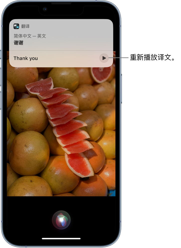 白玉苹果14维修分享 iPhone 14 机型中使用 Siri：了解 Siri 能帮你做什么 