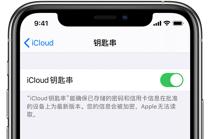 白玉苹果手机维修分享在 iPhone 上开启 iCloud 钥匙串之后会储存哪些信息 