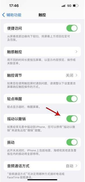 白玉苹果手机维修分享iPhone手机如何设置摇一摇删除文字 